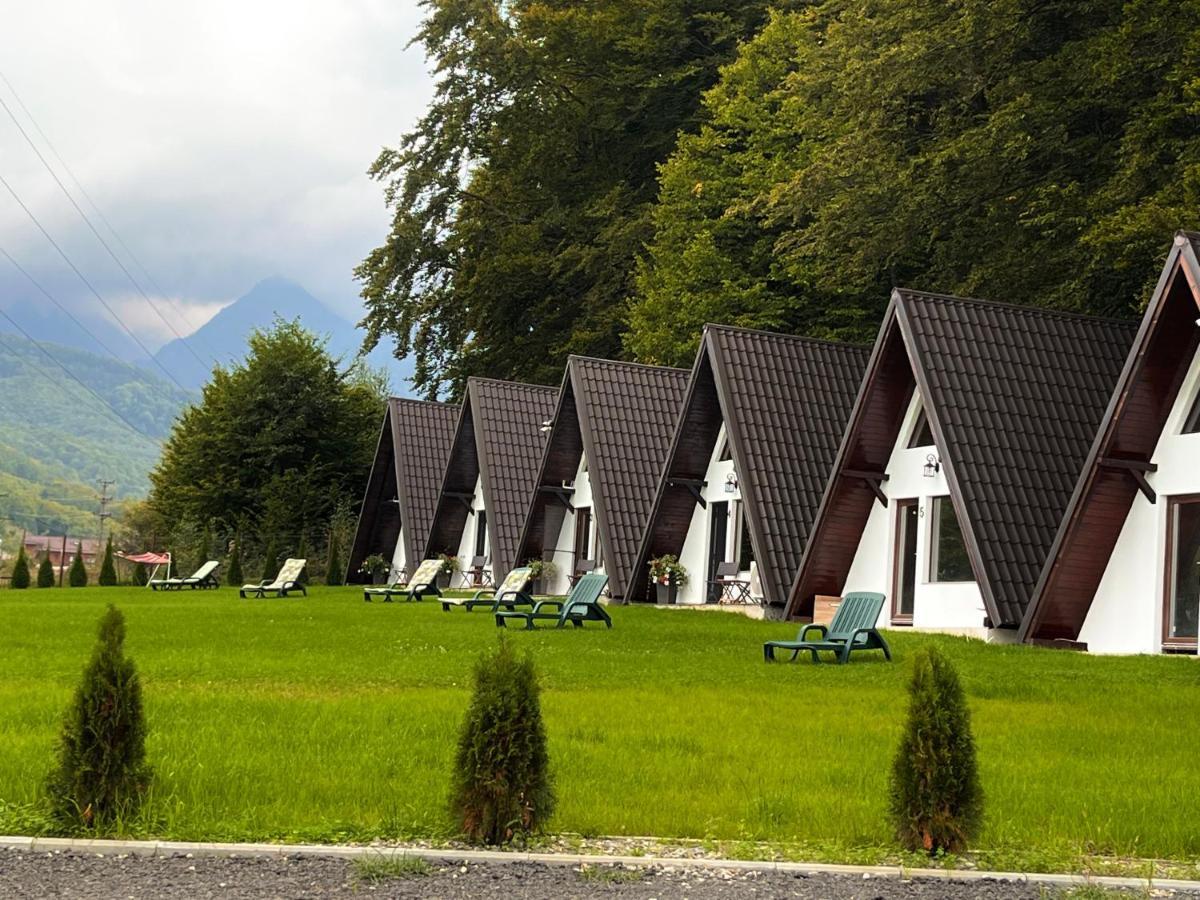 Casutele De Sub Padure Hotel Avrig Bagian luar foto