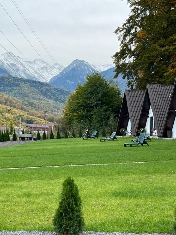 Casutele De Sub Padure Hotel Avrig Bagian luar foto