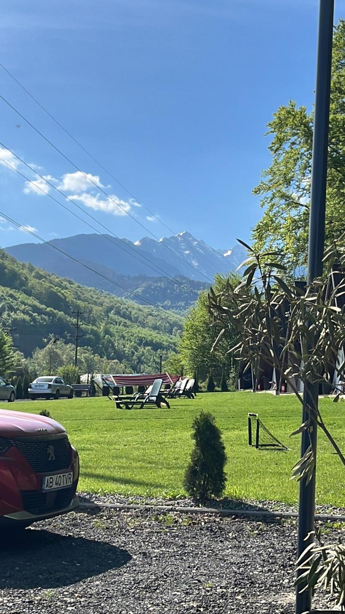Casutele De Sub Padure Hotel Avrig Bagian luar foto